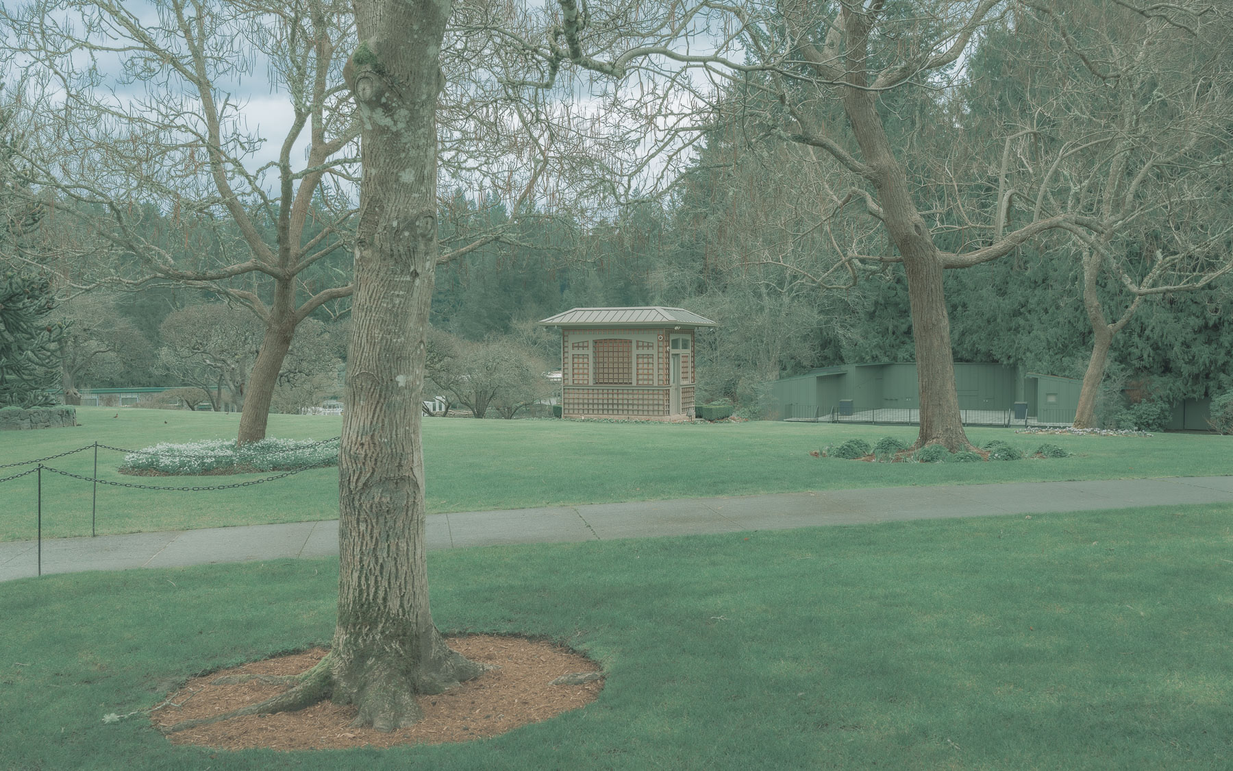 Within the Ordinary IV