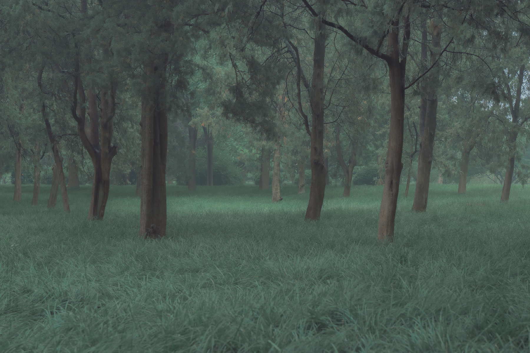 Before the Silence IV