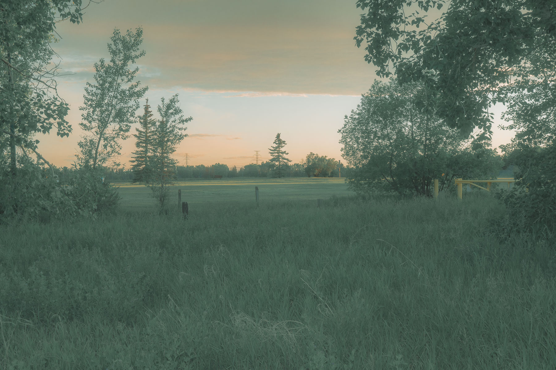 Before the Silence V