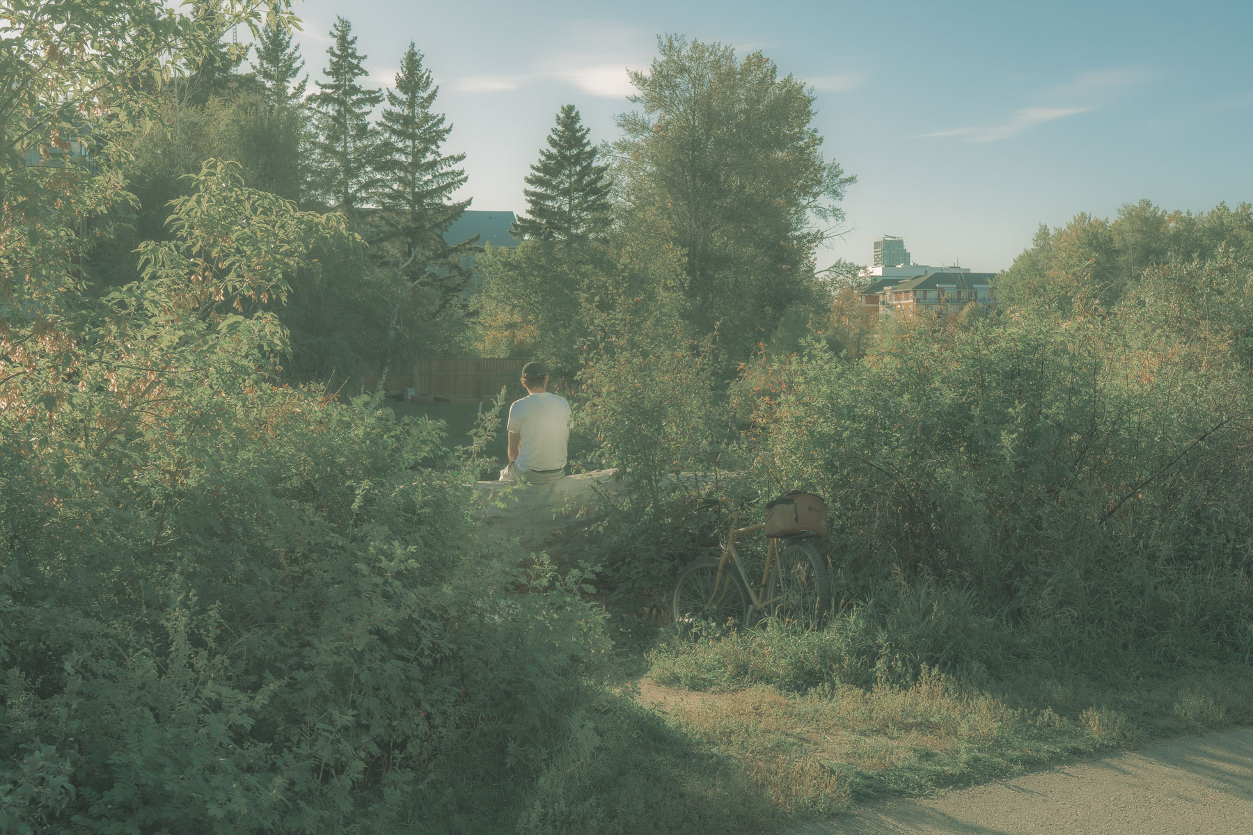 Before the Silence VII